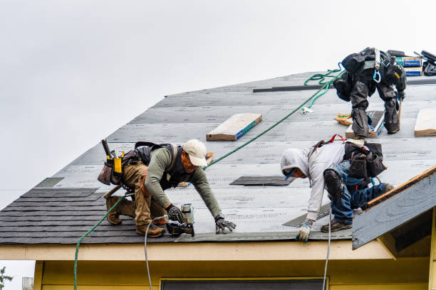 Professional Storm Damage Roof Repair technician working in Lewis, IA