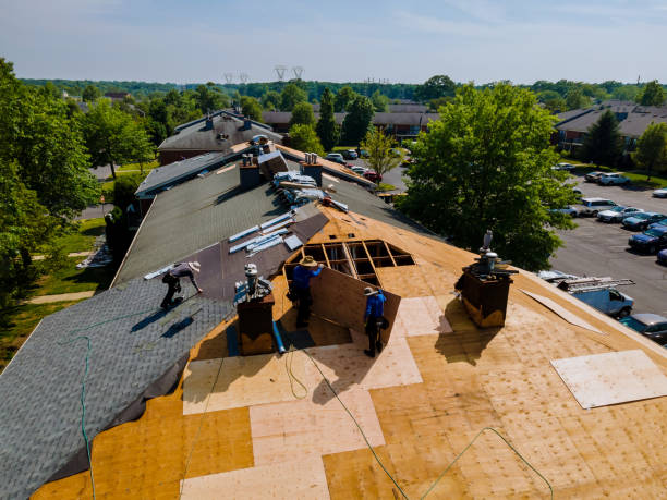 24/7 Emergency Storm Damage Roof Repair experts in Lewis, IA